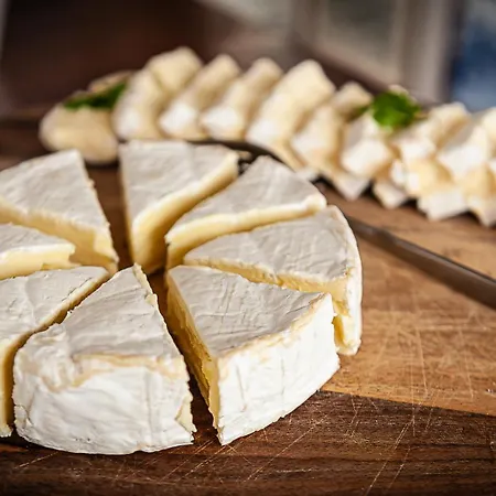 Auberge de jeunesse Panta Rhei Boatique Amsterdam